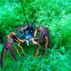img_1093a