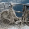 img_1470