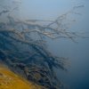 img_1482