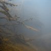 img_1484