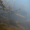 img_1485