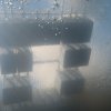 img_1546