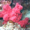 hurghada_sep2004_013