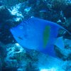 hurghada_sep2004_018