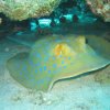 hurghada_sep2004_039