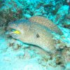 hurghada_sep2004_050