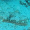 hurghada_sep2004_081