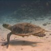 hurghada_sep2004_090
