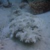 hurghada_sep2004_121