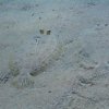 hurghada_sep2004_124