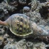 hurghada_sep2004_151