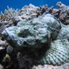 hurghada_sep2004_155