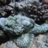 hurghada_sep2004_157