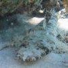 hurghada_sep2004_169