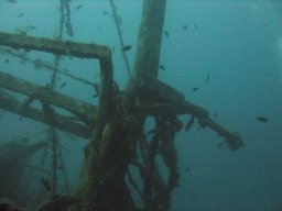 kroatien_tauchen_200907_009
