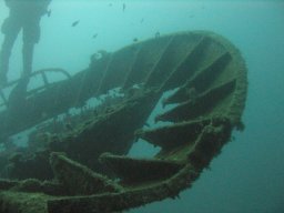 kroatien_tauchen_200907_016