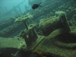 kroatien_tauchen_200907_017