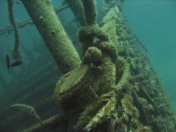 kroatien_tauchen_200907_027