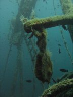 kroatien_tauchen_200907_028