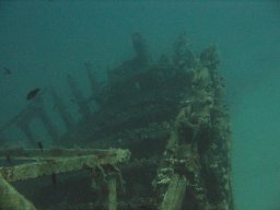 kroatien_tauchen_200907_029