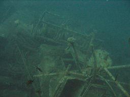 kroatien_tauchen_200907_031