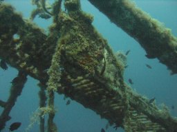 kroatien_tauchen_200907_033
