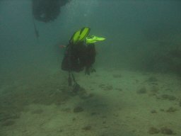 kroatien_tauchen_200907_035