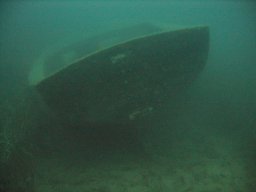 kroatien_tauchen_200907_036