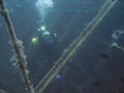 kroatien_tauchen_200907_081