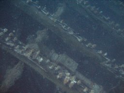 kroatien_tauchen_200907_086
