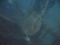 kroatien_tauchen_200907_087