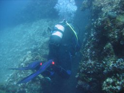 kroatien_tauchen_200907_158