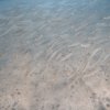 Brayka_Bay_2023_001