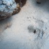 Brayka_Bay_2023_005