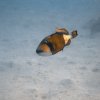 Brayka_Bay_2023_015
