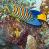 Brayka_Bay_2023_016