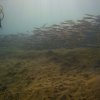 Brayka_Bay_2023_018