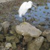 Brayka_Bay_2023_019