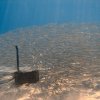 Brayka_Bay_2023_020