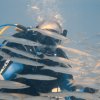 Brayka_Bay_2023_023
