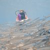 Brayka_Bay_2023_025