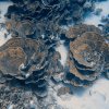 Brayka_Bay_2023_031