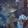 Brayka_Bay_2023_039