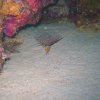 Brayka_Bay_2023_062
