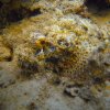 Brayka_Bay_2023_066