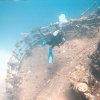 Brayka_Bay_2023_078