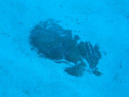 img_7092