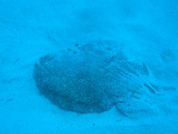 img_7093
