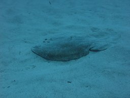 img_7095