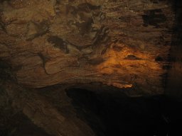 img_7136